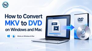 How to Convert MKV to DVD in 2026: 5 Easy Methods